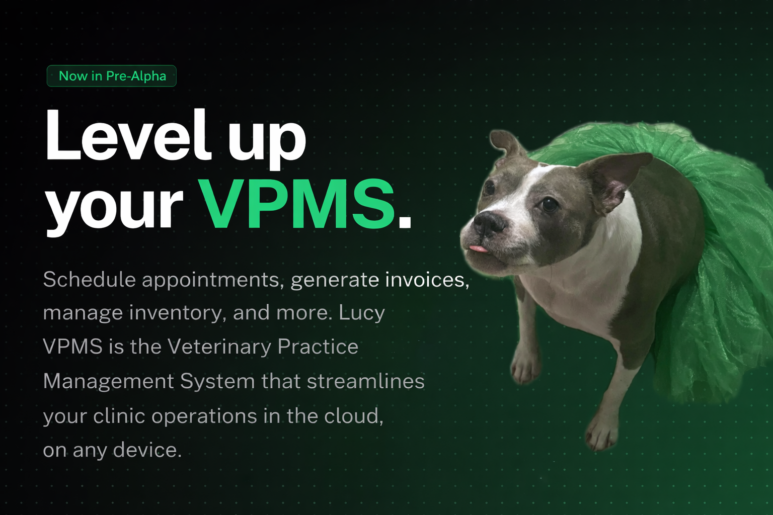 Image for LucyVPMS