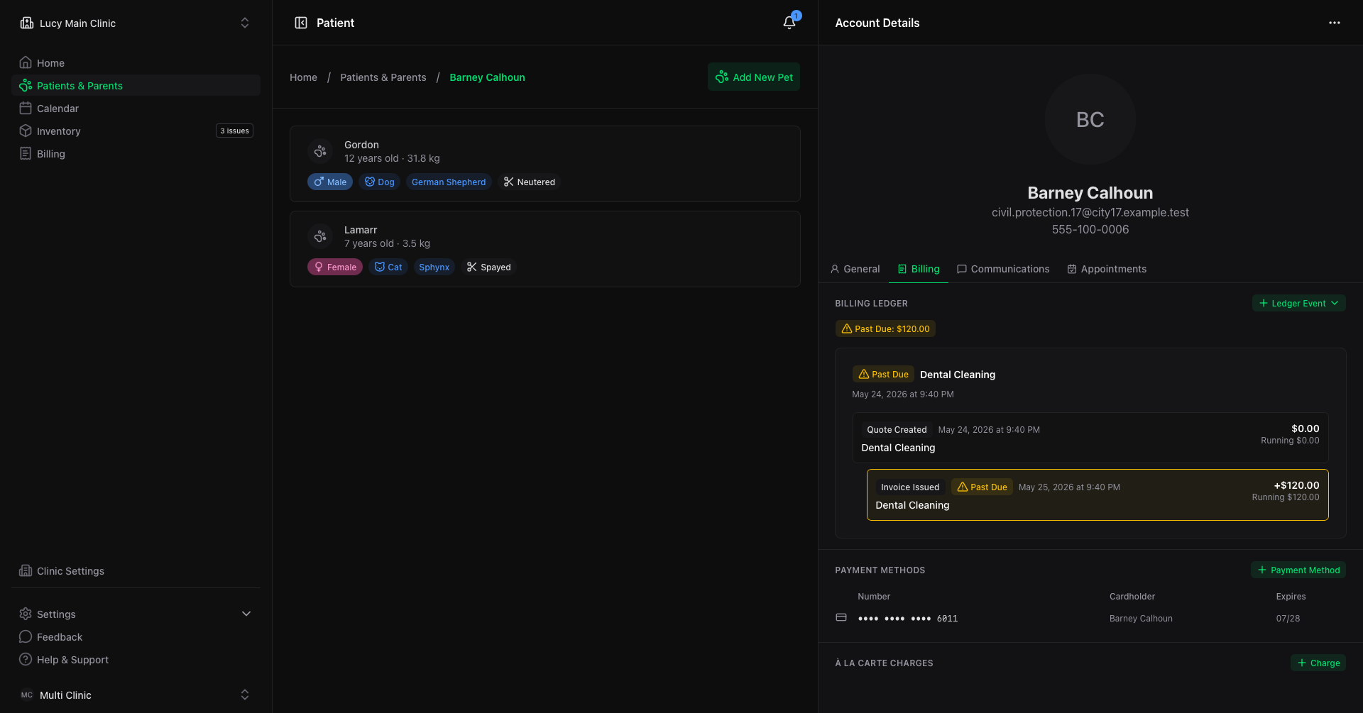Lucy VPMS individual client route with pets, billing ledger, and payment methods
